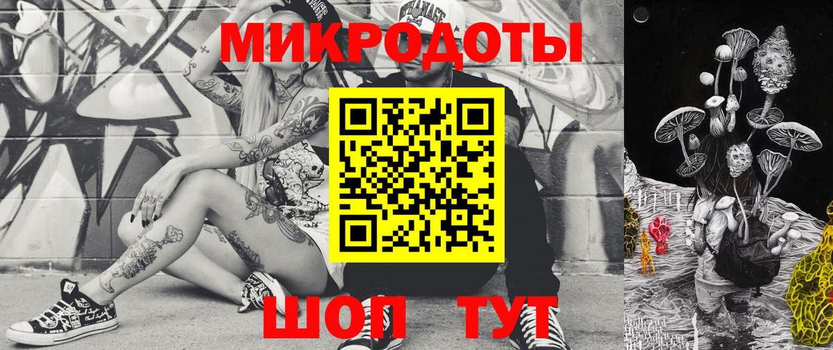 Галлюциногенные грибы Psilocybe Дивногорск
